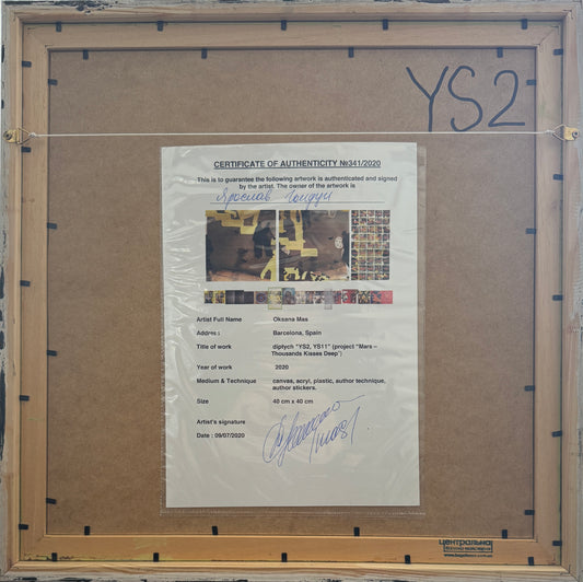 Картина «YS2, YS11»