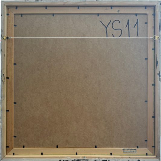 Картина «YS11»