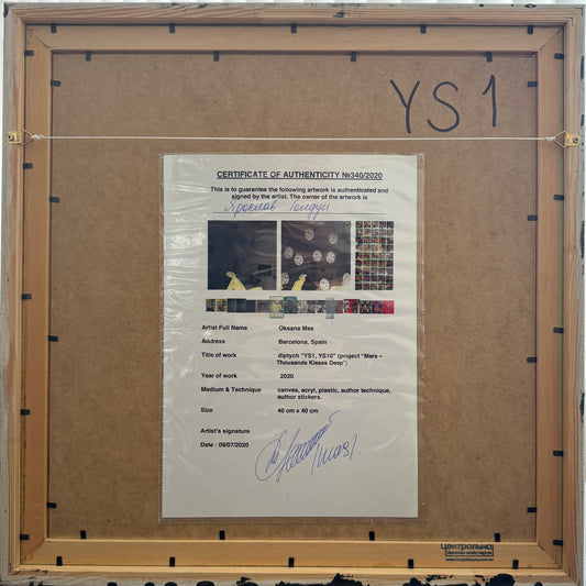 Картина «YS1, YS10»